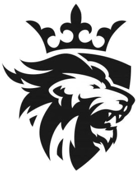 logo BRAVOS